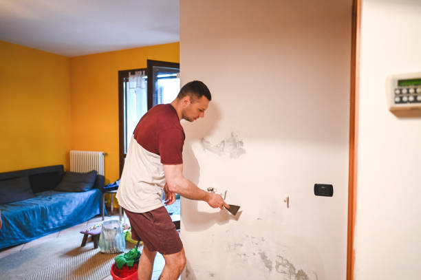 Best Black Mold Removal  in Papillion, NE